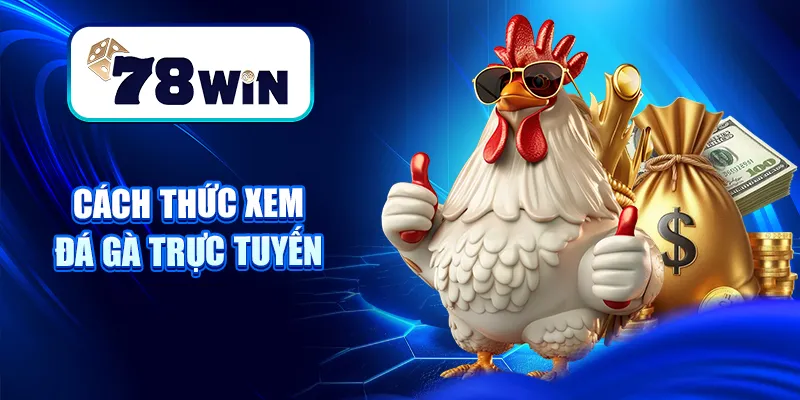 Hướng Dẫn Xem Đá Gà Trực Tuyến 2025 Tại Website Tin Cậy 5 Cách thức xem đá gà trực tuyến