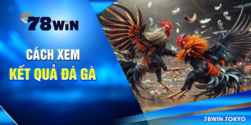 Cập Nhật Kết Quả Đá Gà Online 78WIN – Chuẩn Từng Giây 7 Cách xem kết quả đá gà