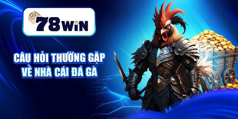 Nhà Cái Đá Gà – Hướng Dẫn Cách Chọn Địa Chỉ Cược Uy Tín 8 Câu hỏi thường gặp về nhà cái đá gà