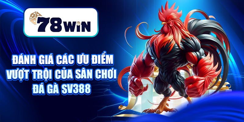 Đá Gà SV388 – Sân Chơi Chọi Gà Thomo, Cựa Dao Đỉnh Cao 5 Đánh giá các ưu điểm vượt trội của sân chơi Đá Gà SV388