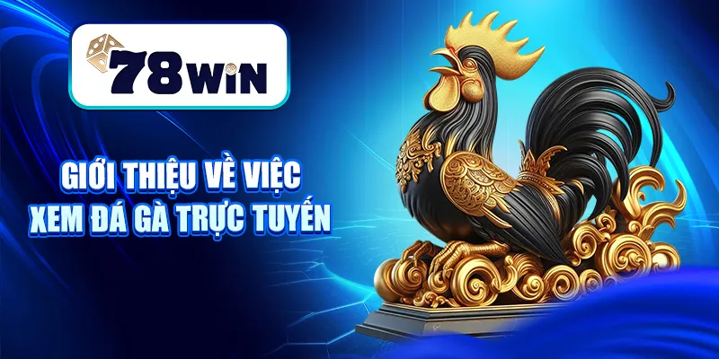 Hướng Dẫn Xem Đá Gà Trực Tuyến 2025 Tại Website Tin Cậy 4 Giới thiệu về việc xem đá gà trực tuyến
