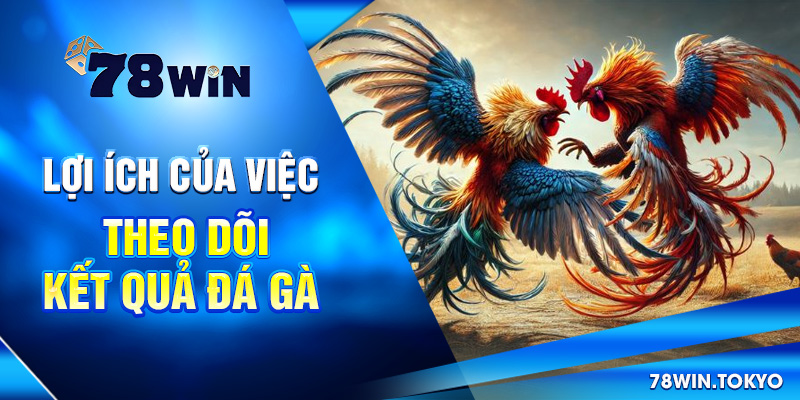Cập Nhật Kết Quả Đá Gà Online 78WIN – Chuẩn Từng Giây 8 Lợi ích của việc theo dõi kết quả đá gà