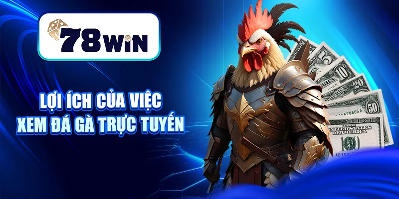 Hướng Dẫn Xem Đá Gà Trực Tuyến 2025 Tại Website Tin Cậy 6 Lợi ích của việc xem đá gà trực tuyến