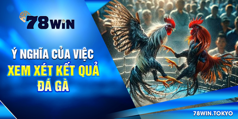 Cập Nhật Kết Quả Đá Gà Online 78WIN – Chuẩn Từng Giây 6 Ý nghĩa của việc xem xét kết quả đá gà