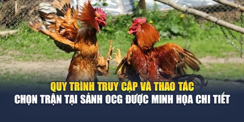 Trải Nghiệm Sảnh Đá Gà OCG Kịch Tính Tại Nhà Cái 78WIN 6 Quy trình truy cập và thao tác chọn trận tại sảnh OCG được minh họa chi tiết